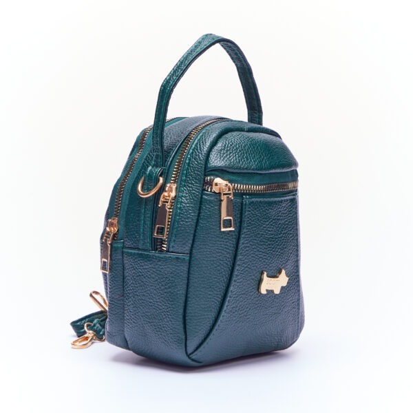 Allesandra crossbody 