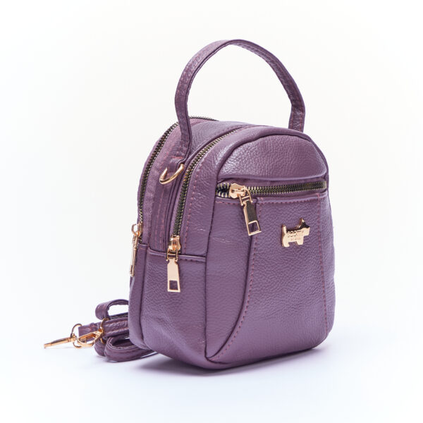 Allesandra crossbody 