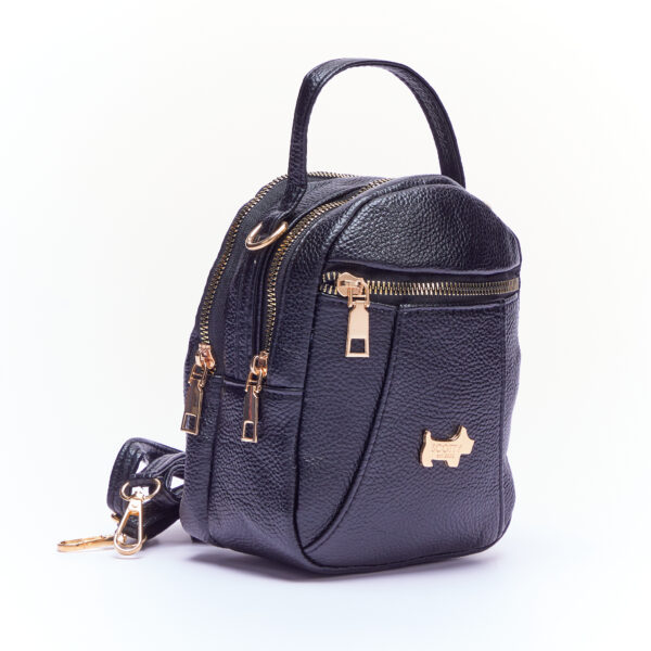 Allesandra crossbody 