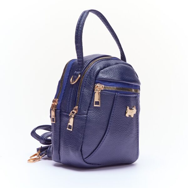 Allesandra crossbody