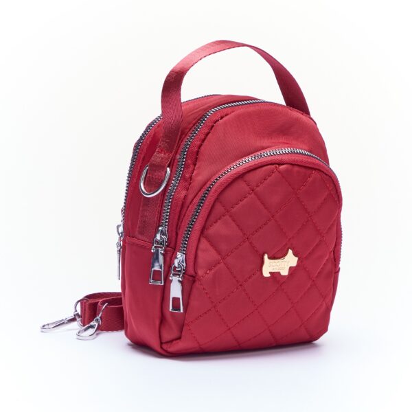 Allesandra crossbody